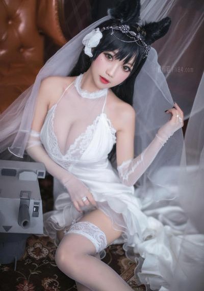 警花与警犬第二季免费观看全集_国产剧高清视频播放