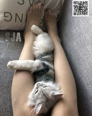 20世纪少女_1080P电影全集观看